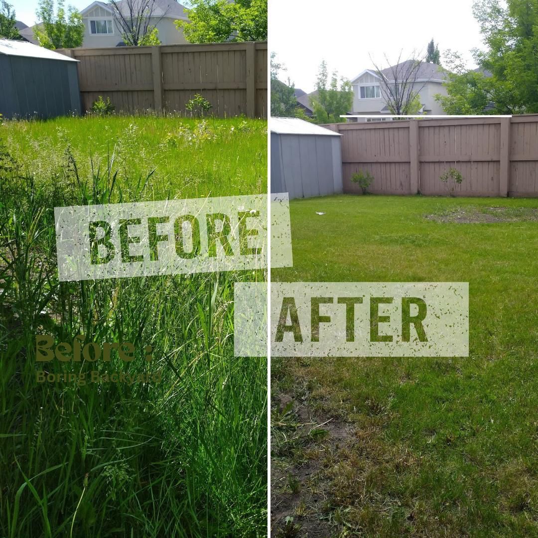 Why Lawn Cleaning Is Important