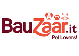 Bauzaar IT